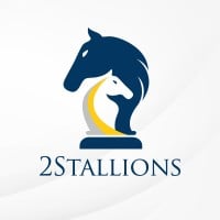 2Stallions Digital Marketing Agency logo