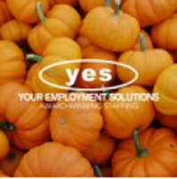 Your Employment Solutions logo