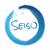 Seiso cybersecurity Pittsburgh, PA
