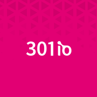 301io Next Gen Digital Solution