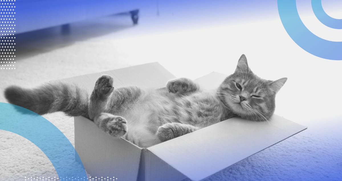 What Is Schrödinger’s Cat? (Definition, How It Works) | Built In