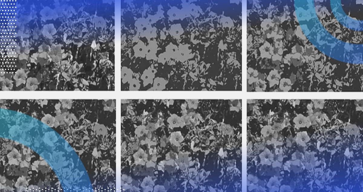 Image Segmentation Explained | Built In
