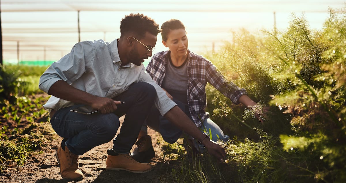 10 Top Agtech Companies | Built In