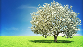 Austin tech companies raised $133M in March. These were the 5 biggest rounds