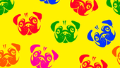 Illustration owith many pug dog heads in different colors