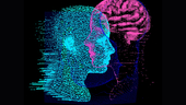 Image: Shutterstock