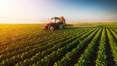 tractor moving across soybean field on a sunny day