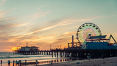 ​ Image: Shutterstock ​