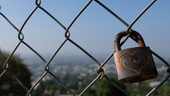 ​  Photo: Shutterstock  ​