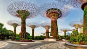 Photo: Shutterstock