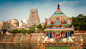 Photo: Shutterstock