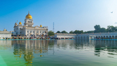 Photo: Shutterstock