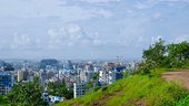 Photo: Shutterstock