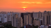 Image: Anuja Sharma / Shutterstock