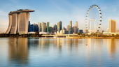 Photo: Shutterstock