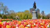 Photo: Shutterstock