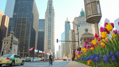 Photo: Shutterstock