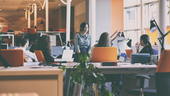 A team meeting held at desks
