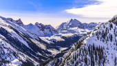 Photo: Shutterstock