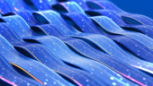 Image: Shutterstock