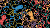 A colorful image of octopi.