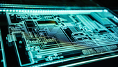 Meet Three Leaders Helping Keep MetLife at the Forefront of Cybersecurity