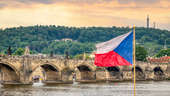 Photo: Shutterstock