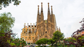 Photo: Shutterstock