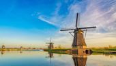 Photo: Shutterstock