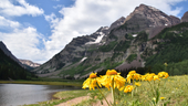 Photo: Shutterstock