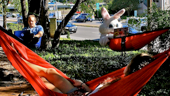 5 Austin startups with amazing outdoor workspaces