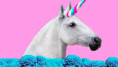 For women-founded unicorns, 2019 is shaping up to be the best year ever