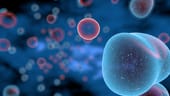Boston Biotech Startup Raises $20M in Funding, Licenses T Cell Technology From Seattle