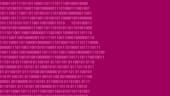 Outline of human face rendered in code.