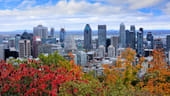 Photo: Shutterstock