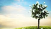 From bootstrapping to IPO: Startup funding rounds explained