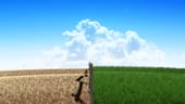 From Stuck to Thriving: Transforming a Career Path at Blueprint Test Prep