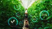 Sustainable AgTech Company Oishii Closes $150M Series B Round