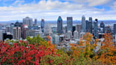Photo: Shutterstock