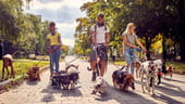 Photo: Shutterstock