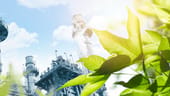 Photo: Shutterstock