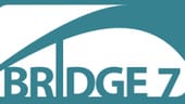 Bridge 7 Looking to Disrupt Billion Dollar Salesforce Services Ecosystem
