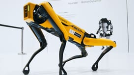 Image: Shutterstock