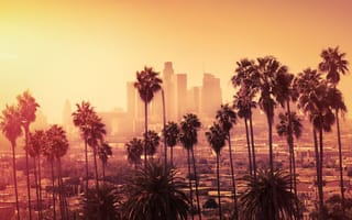 sunset view of Los Angeles, California