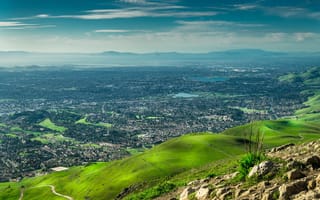 Photo: Shutterstock