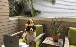 How to Make the Most of Remote Work