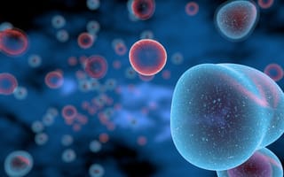 Boston Biotech Startup Raises $20M in Funding, Licenses T Cell Technology From Seattle