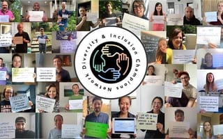 Looking at Diversity and Inclusion Through an Intersectional Lens