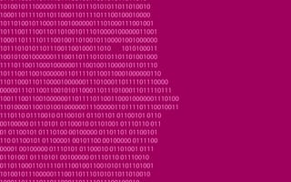 Outline of human face rendered in code.