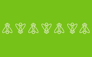 Greenfly Raises $8.4M to Optimize Content Distribution for Athletes